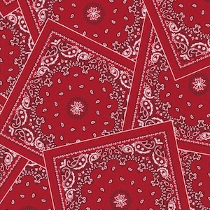 Puede incluir: Un pañuelo rojo con un patrón paisley blanco. El pañuelo está doblado y superpuesto, creando un fondo texturizado.