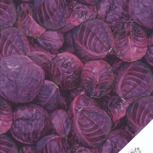 ROTKOHL, "Al a Carte" GEMÜSE Stoff Nr. 200545