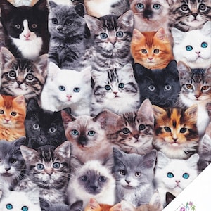 Può includere: Un motivo di tessuto con un collage di vari volti di gatti. I gatti hanno diversi colori e motivi di pelliccia, tra cui tigrato, calico e colori uniti. Alcuni gatti hanno gli occhi blu. Il design generale è un motivo ripetuto di volti di gatti.