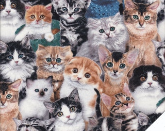 CATS fabric no. 200620