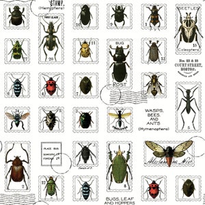 May include: A vintage sheet of postage stamps featuring illustrations of various insects, including beetles, wasps, bees, and ants. The stamps are labeled with their scientific classifications and have a white background with black borders.