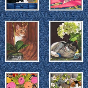 Op de afbeelding: Een collage van zes afbeeldingen met katten in verschillende omgevingen. De afbeelding linksboven toont een zwart-witte kat die in een raam zit. De afbeelding rechtsboven toont een gemberkat die uit een vaas met roze en gele rozen gluurt. De afbeelding linksonder toont een gemberkat die naast een gepotte orchidee zit. De afbeelding rechtsonder toont een grijs-witte kat die naast een vaas met witte bloemen ligt. De afbeelding linksonder toont een zwart-witte kat die naast een vaas met roze en gele tulpen slaapt. De afbeelding rechtsonder toont een driekleurige kat die in een tuinomgeving zit.