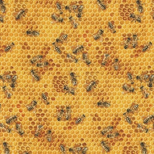 Könnte beinhalten: Ein Nahaufnahmebild eines Bienenwaben mit vielen Bienen, die darauf krabbeln. Die Bienenwabe ist goldgelb und die Bienen sind dunkelbraun.