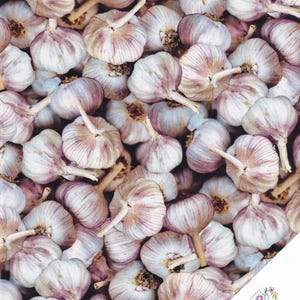 Op de afbeelding: Een close-up van een stapel knoflookbollen. De bollen zijn wit met paarse strepen en hebben groene stelen. De afbeelding is een stofontwerp, mogelijk voor quilten.