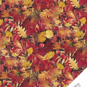 Può includere: Un motivo di tessuto senza cuciture che presenta una varietà di foglie autunnali in tonalità di rosso, arancione, giallo e marrone. Le foglie sono disposte in un motivo casuale, creando un design di fogliame autunnale realistico e vibrante.