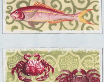 MARINE ANIMALS PANEL Fabric No. 150214