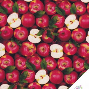 May include: A fabric pattern with a repeating design of red apples, some whole and some sliced to show the white flesh and seeds. Green leaves are scattered among the apples. The pattern is a close-up view, filling the frame.