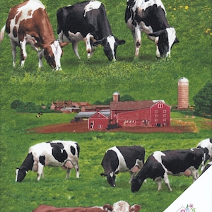 Peut inclure: Un champ vert avec une grange rouge et un silo en arrière-plan. Plusieurs vaches noires et blanches et brunes et blanches paissent dans le champ. Le texte "Quilt Shop" est visible dans le coin inférieur droit de l'image.