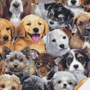Puede incluir: Una tela con un patrón repetido de diferentes razas de perros, como golden retrievers, pugs y beagles. Los perros tienen diversos colores y expresiones, creando un diseño alegre. Adecuado para acolchar y otros proyectos de manualidades.