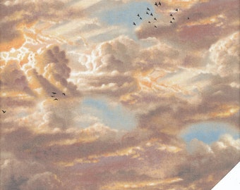 WOLKEN, SONNE, VÖGEL, "Noahs Ark" Stoff  Nr. 200624