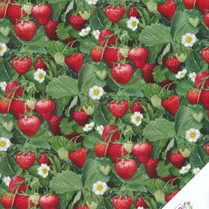 Könnte beinhalten: Ein roter und grüner Stoff mit einem sich wiederholenden Muster aus Erdbeeren und weißen Blüten. Der Stoff ist perfekt zum Quilten, Nähen und Basteln.