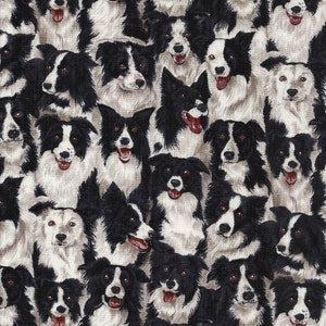 Könnte beinhalten: Ein nahtloses Muster mit einem sich wiederholenden Design von schwarzen und weißen Border Collie-Hundegesichtern. Die Hunde schauen direkt auf den Betrachter mit herausgestreckter Zunge.