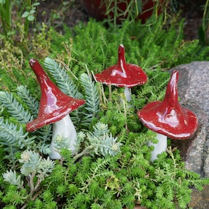 Könnte beinhalten: Drei rote und weiße Keramikpilze mit spitzen Hüten sind in einem Bett aus grünem und blauem Laub angeordnet.