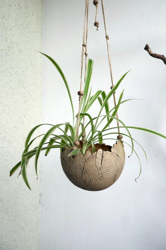 Blumenampel Ø 11cm JAHRESRINGE Ampel aus Keramik