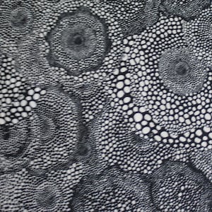 Cotton sweat jersey abstract pattern circles/dots, black-grey/natural, French Thierry