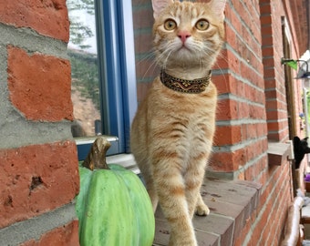 GentleCat © Sicherheitshalsband für Katzen auf Maß