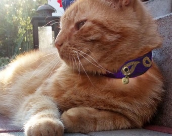 GentleCat © safety collar (discontinued model) – not available at the moment