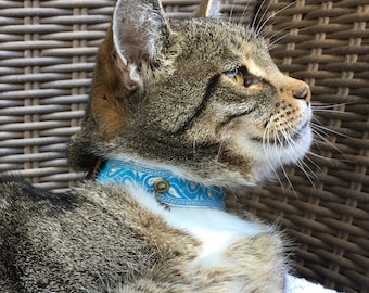 Obroża zabezpieczająca GentleCat © (model wycofany) – obecnie niedostępna