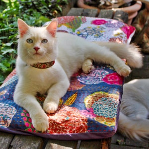 GentleCat © safety collar (discontinued model) – not available at the moment