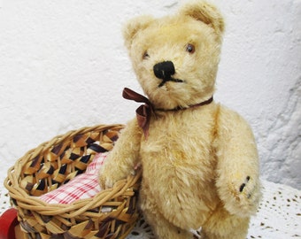 Steiff süßer kleiner Bär Teddybär im Korbwagen