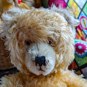 Vintage here comes a pretty fluffy old teddy bear Anton from the Diem company image 3