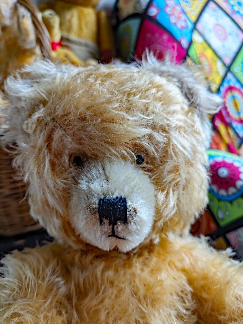 Vintage here comes a pretty fluffy old teddy bear Anton from the Diem company image 3