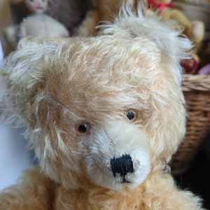 Vintage hier kommt ein hübscher wuscheliger alter Teddybär Anton von der Firma Diem Bild 4