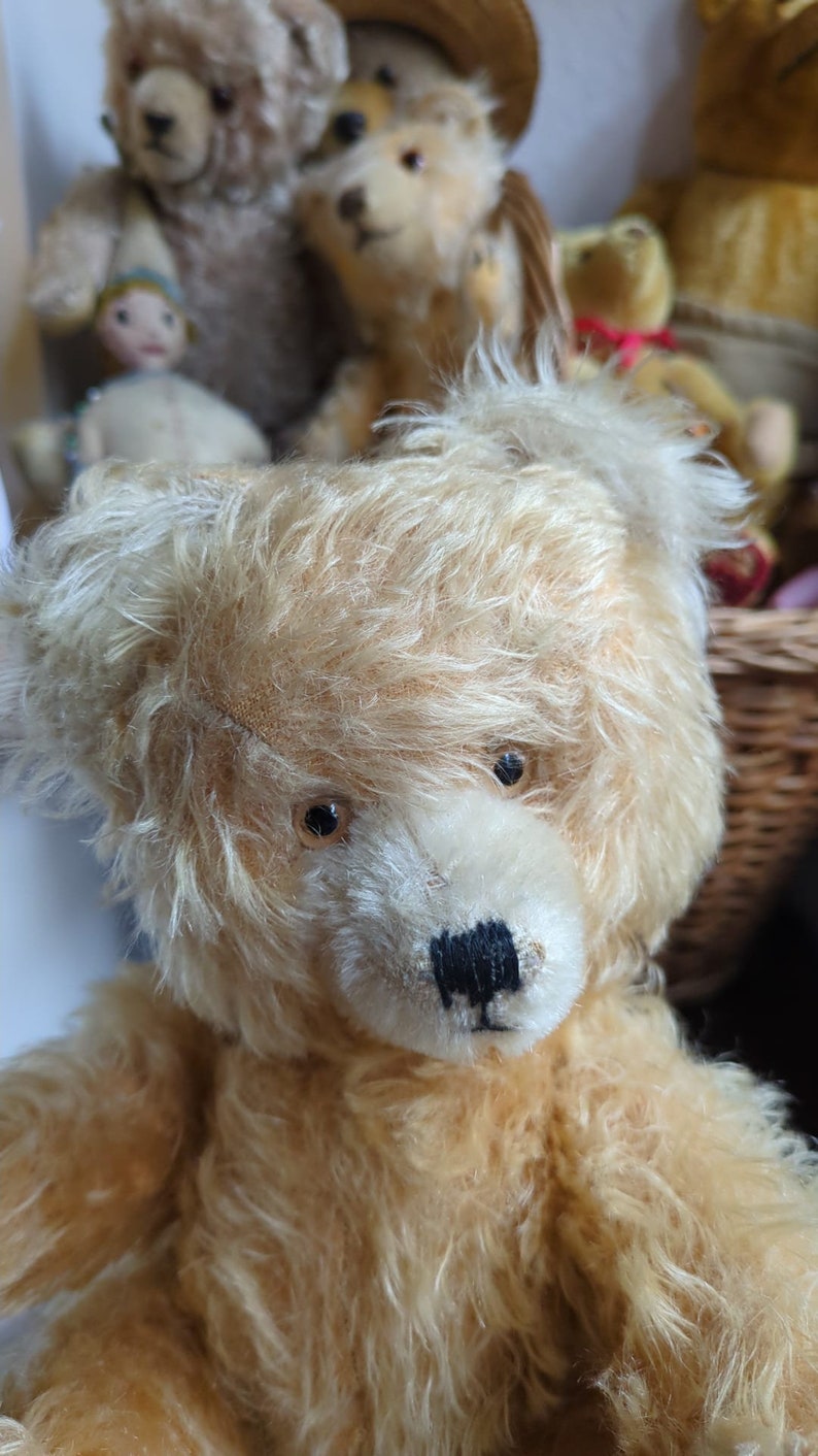 Vintage here comes a pretty fluffy old teddy bear Anton from the Diem company image 4