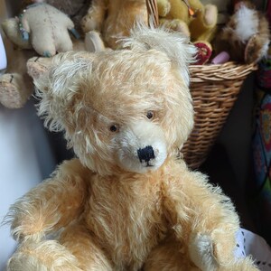 Vintage here comes a pretty fluffy old teddy bear Anton from the Diem company image 1