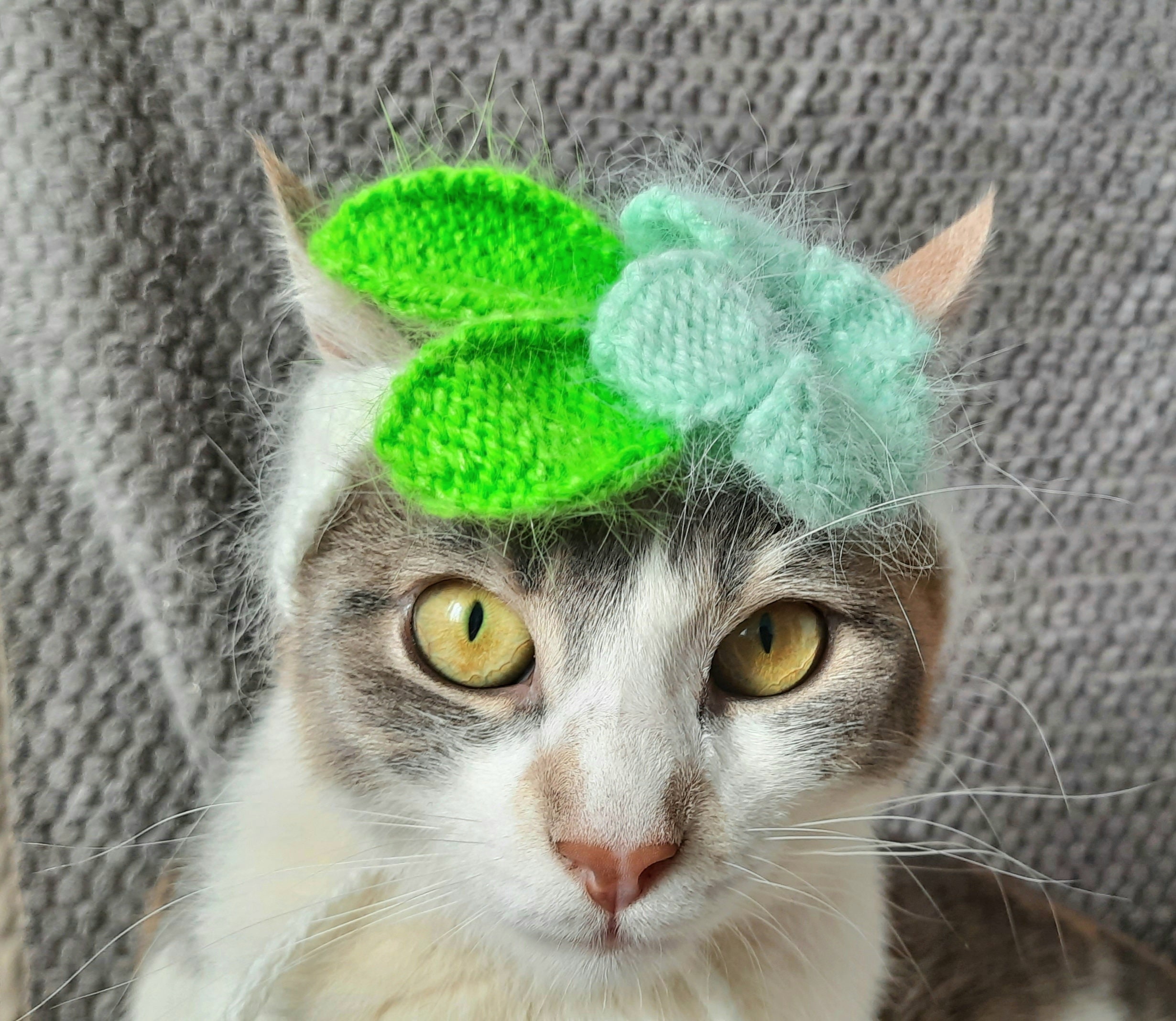 Flower cat hat cat mom gifts outfit photo shoot flower for Etsy