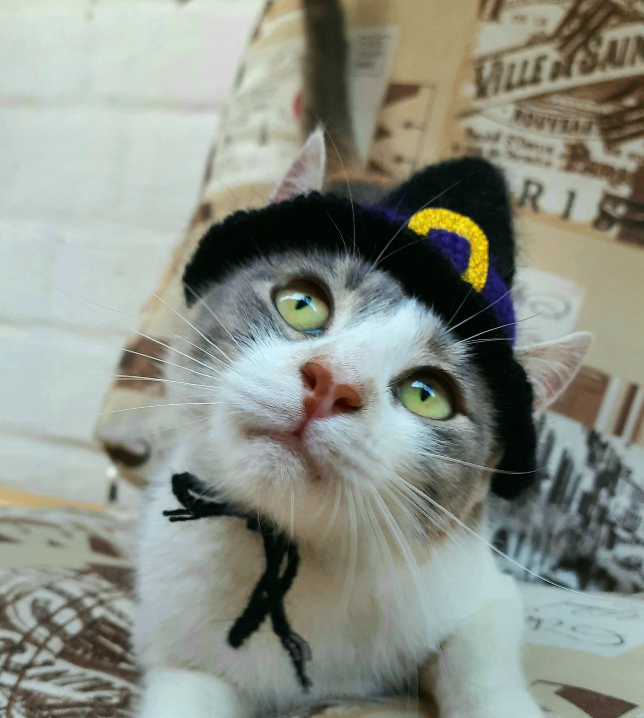 Trucker Cap Mit Katzenmotiv - Verstellbare Baseballmütze Grumpy Cat