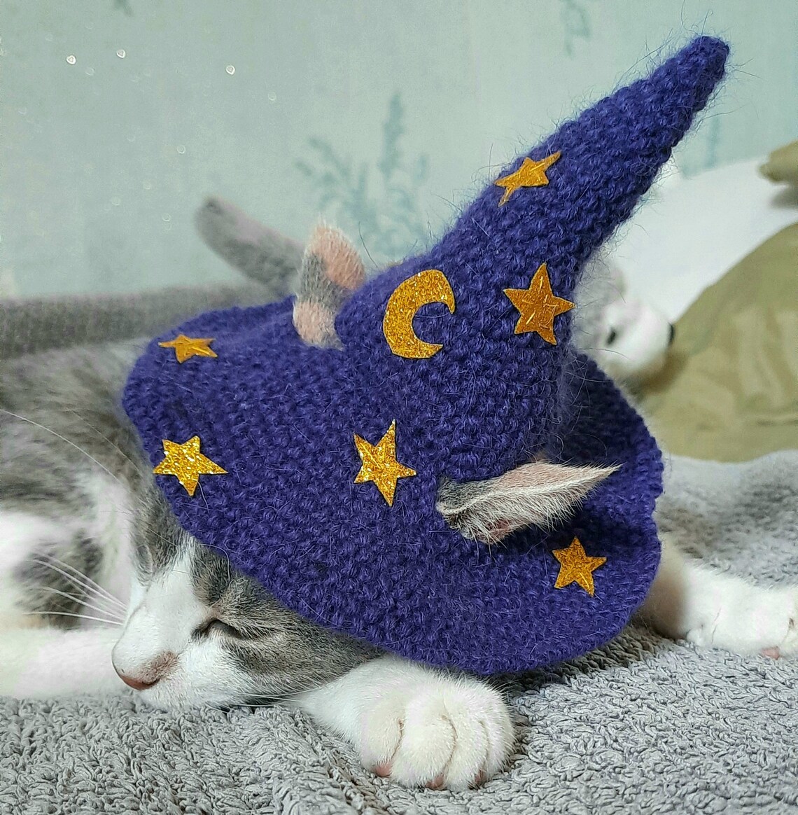 Purple Wizard cat hat cat wizard hat cat crochet Halloween Etsy