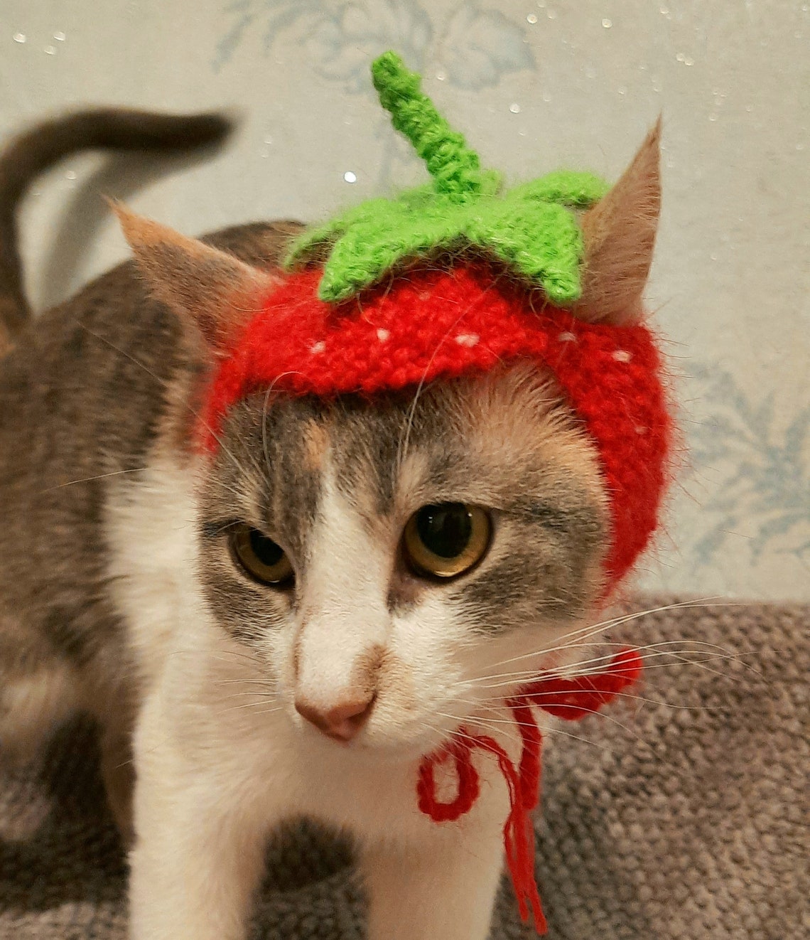 Strawberry cat hat fruit hats for cats cat strawberry Etsy