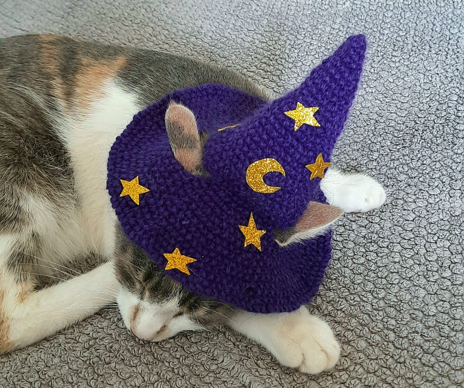 Purple Wizard cat hat cat wizard hat cat crochet Halloween Etsy