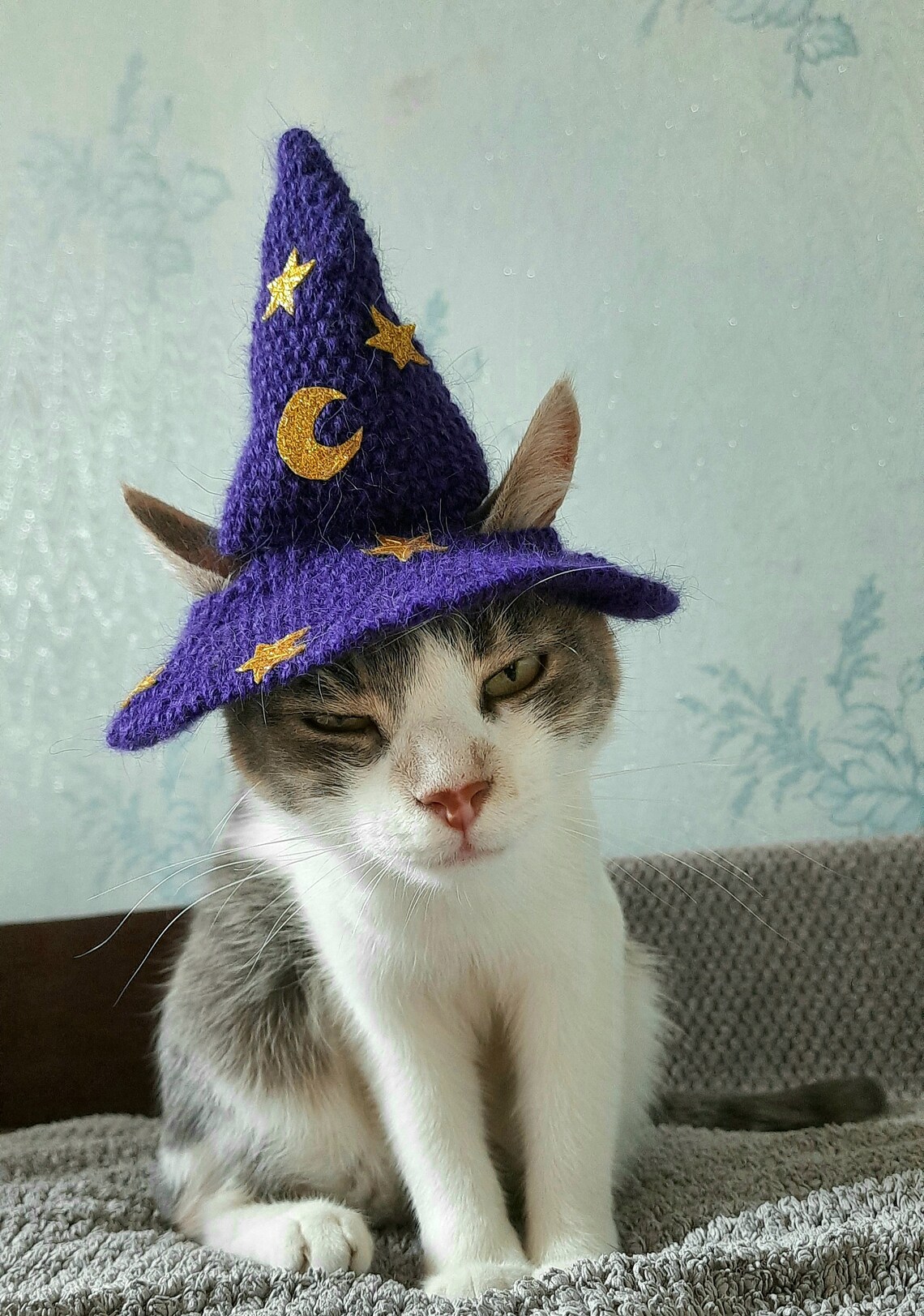 Purple Wizard Cat Hat Cat Wizard Hat Cat Crochet Halloween Etsy
