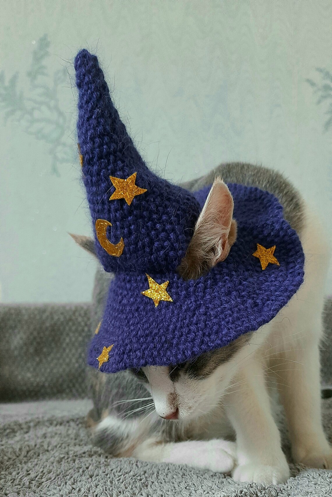Purple Wizard Cat Hat Cat Wizard Hat Cat Crochet Halloween Etsy