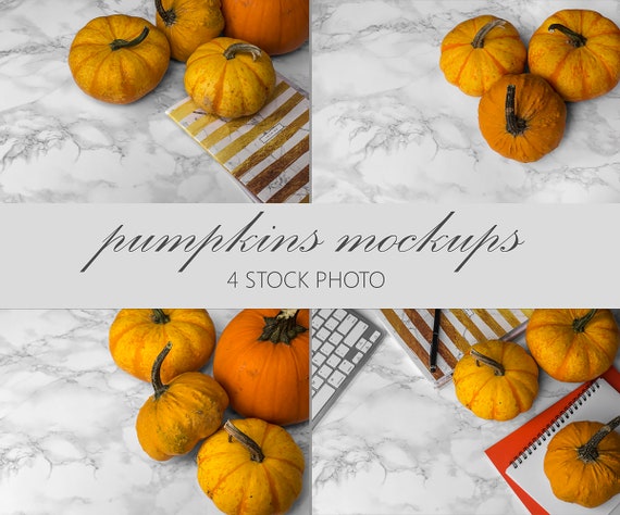 Pumpkins Stock Photo Bundles Styled Photography Pumpkin Mockup Product