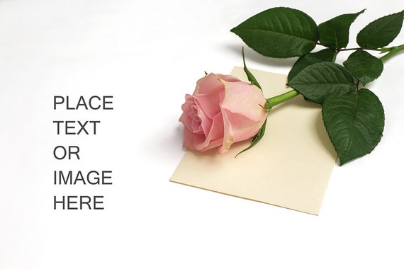 Styled Stock Photos Roses Mockup Valentines Mock Up Product Styled Stock Photos Roses Mockup Valentines Mock Up Product