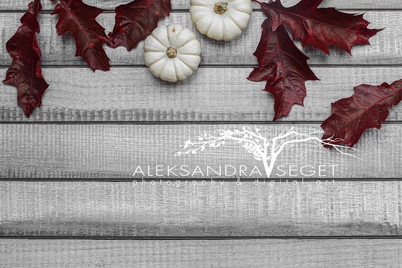 Halloween Mockup Styled Stock Photo Flatlay Background Mock Up Halloween Mockup Styled Stock Photo Flatlay Background Mock Up