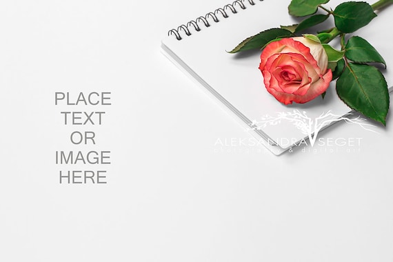 Rose Styled Mockup Rose Stock Photography Styled Desktop Flower Rose Styled Mockup Rose Stock Photography Styled Desktop Flower