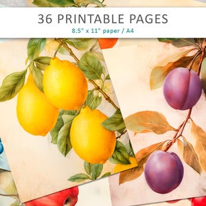 Diario de frutas, imprimibles de frutas vintage, ilustraciones de frutas, páginas de frutas tropicales, papel para álbumes de recortes, papel antiguo, páginas de frutas