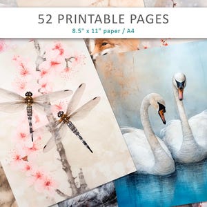 Pagine di diario spazzatura sulla natura, stampe grunge sugli animali, fogli di diario vintage sulla fauna selvatica, pagine grunge sulla natura e sugli animali, carta per scrapbooking