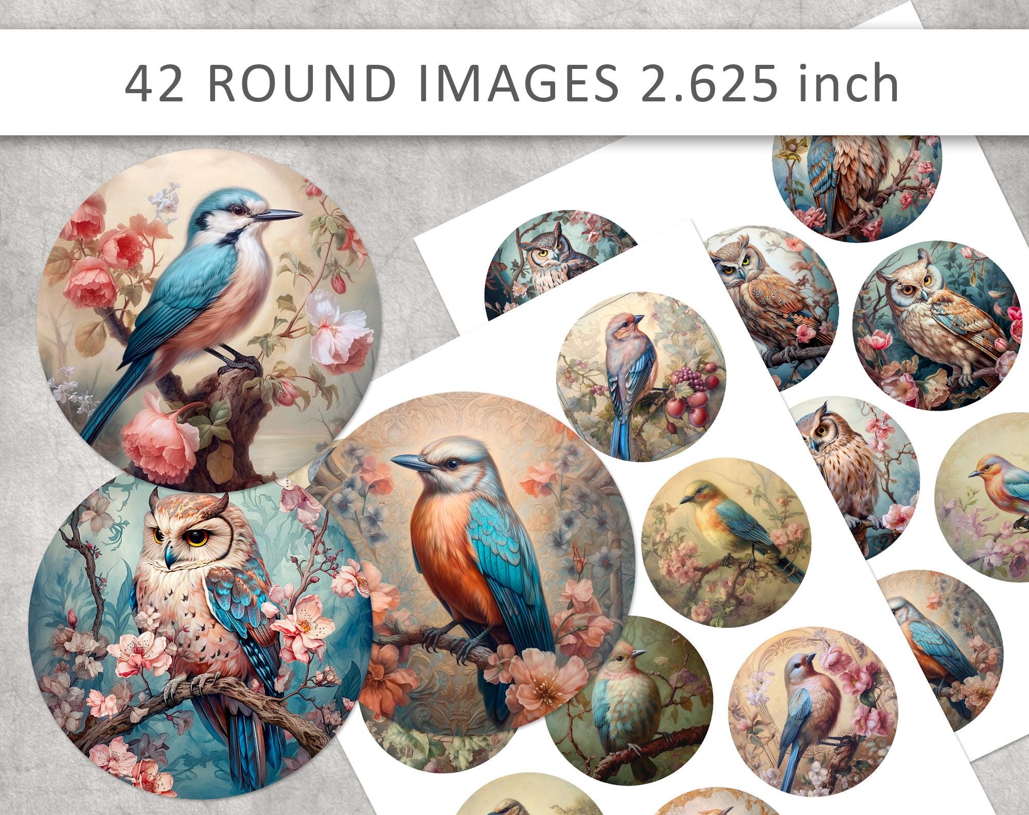vintage bird button printables 2.625", Digital owl buttons, craft printables, vintage circle im