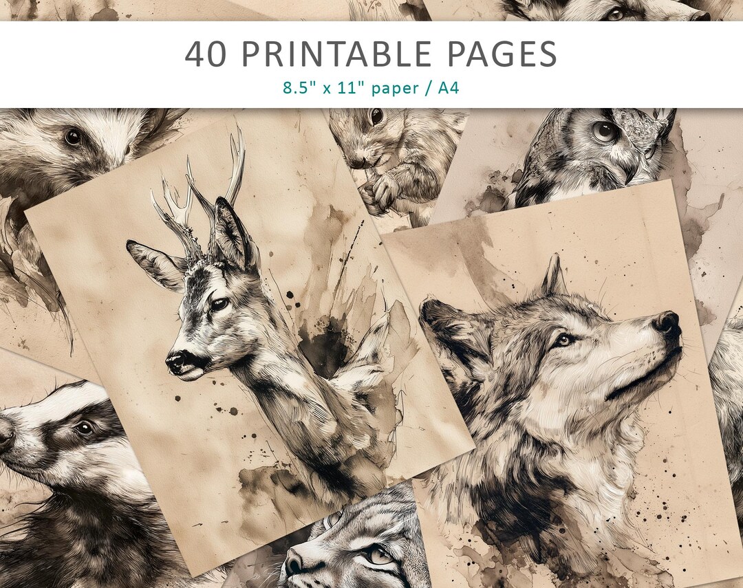 Ink Woodland Animal Prints | Forest Illustration Art (digital Download ...