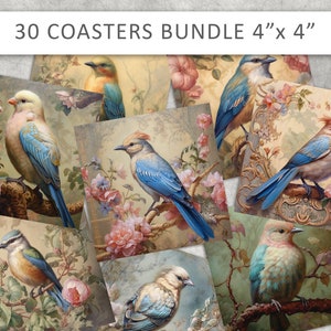 4x4 zoll druckbare Vögel, quadratische Untersetzer PNG, Grußkarten, Bilder digitaler Download für Untersetzer, Vogel Magnete, Vintage Untersetzer