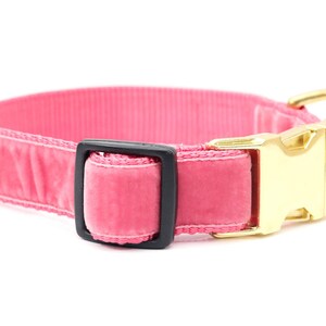 Primrose Pink Vintage Velvet Dog Collar
