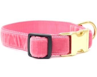 Primrose Pink Vintage Velvet Dog Collar