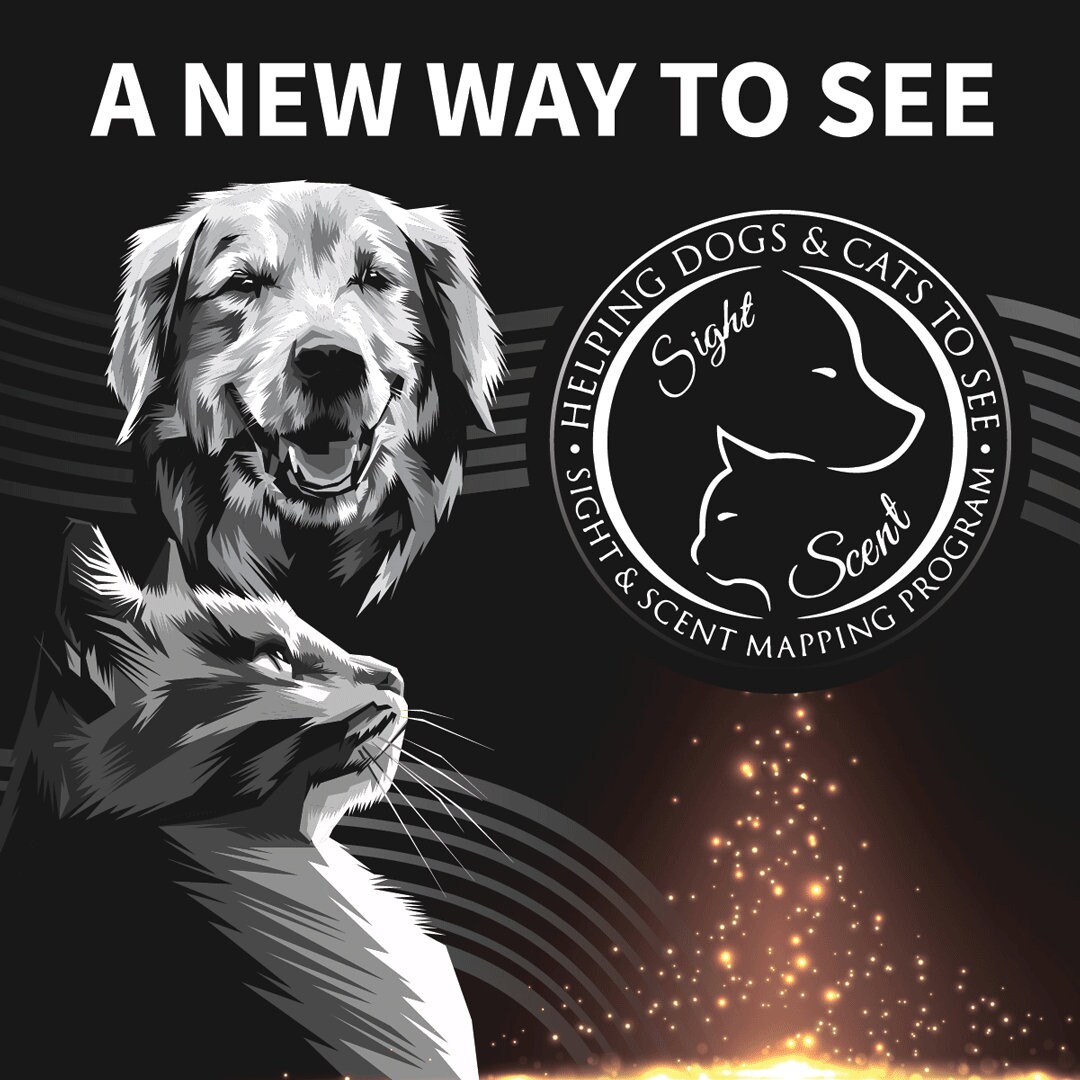Sightscent Scent Mapping Program, Blind or Sight Impaired Dogs and Cats ...