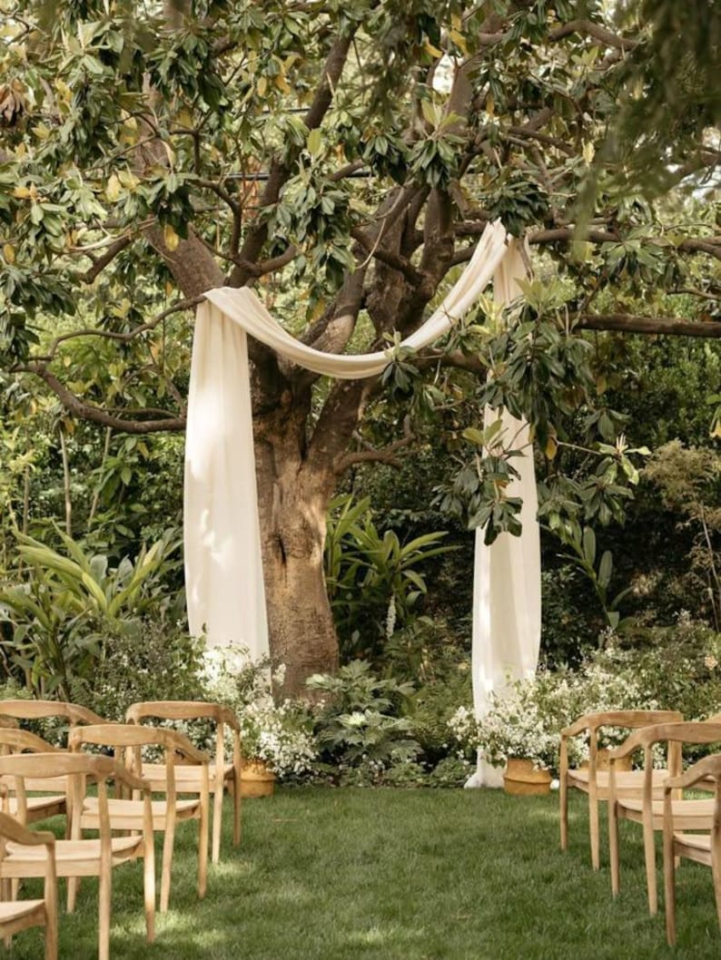 May include: An outdoor wedding ceremony setup with wooden chairs arranged on a green lawn. A large tree serves as the backdrop, draped with cream-colored fabric. White flowers in terracotta pots add a touch of elegance to the natural setting.