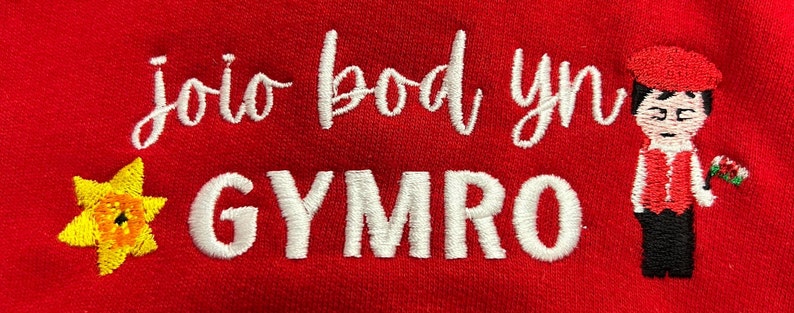 GWYRDD/GREEN hoody Joio/caru bod yn Gymro/Gymraes Hoody plant ac oedolion ani-bendod Hoody image 7